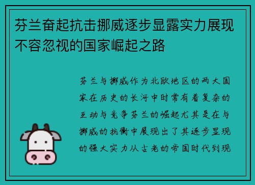 芬兰奋起抗击挪威逐步显露实力展现不容忽视的国家崛起之路