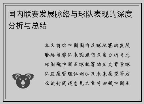 国内联赛发展脉络与球队表现的深度分析与总结