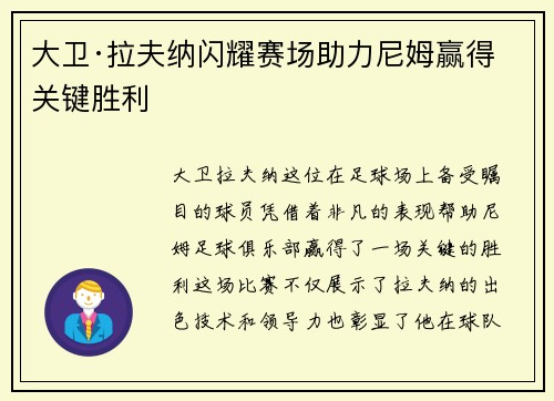 大卫·拉夫纳闪耀赛场助力尼姆赢得关键胜利